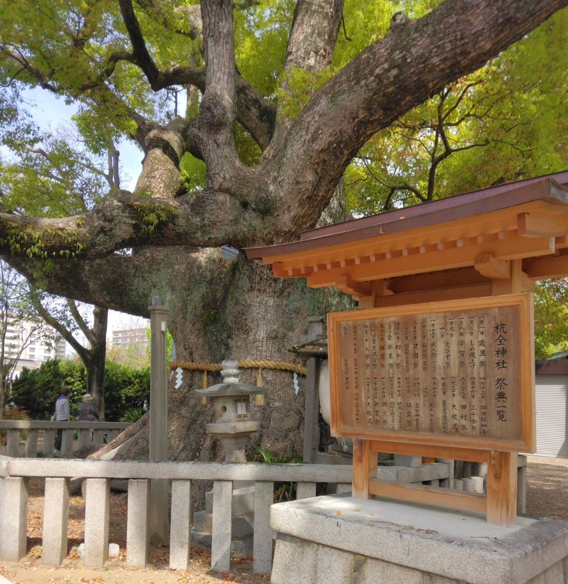 最近の活動